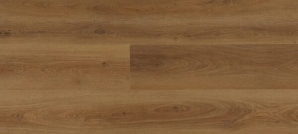 Pacific Golden Oak