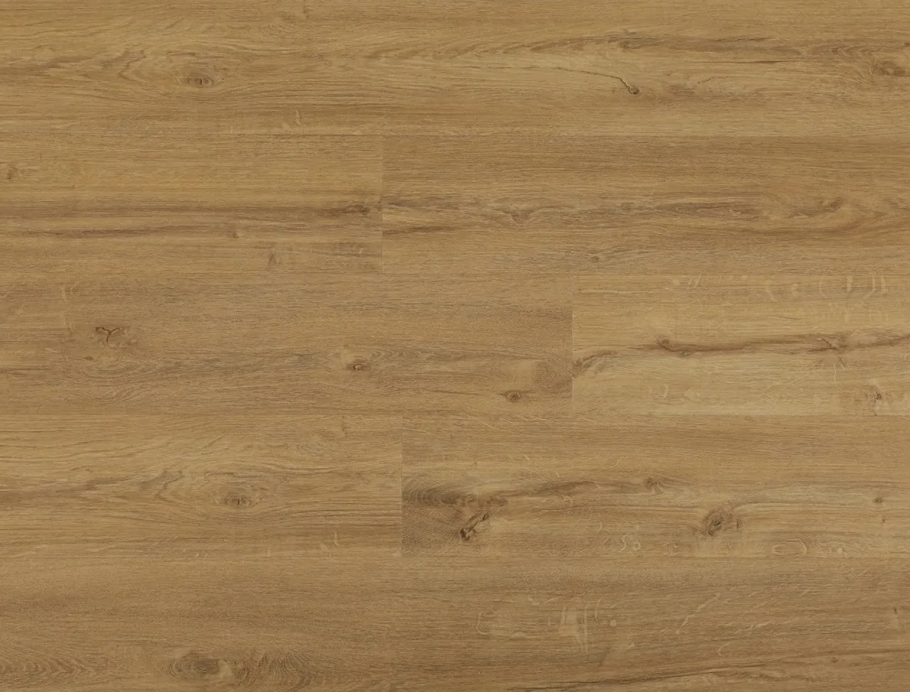 Pacific Natural Oak - obrazek 2