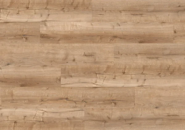 ter Hürne Dąb Bristol