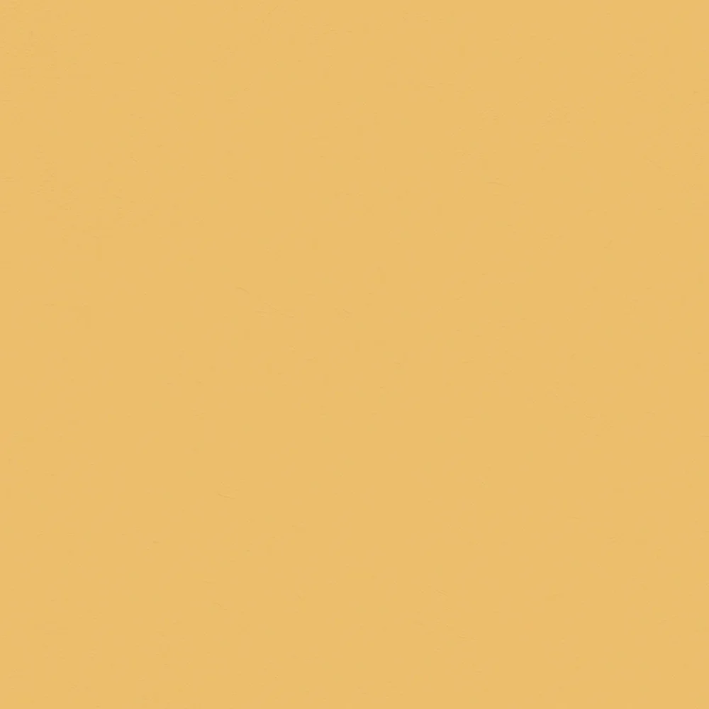 TopCiment Ginger